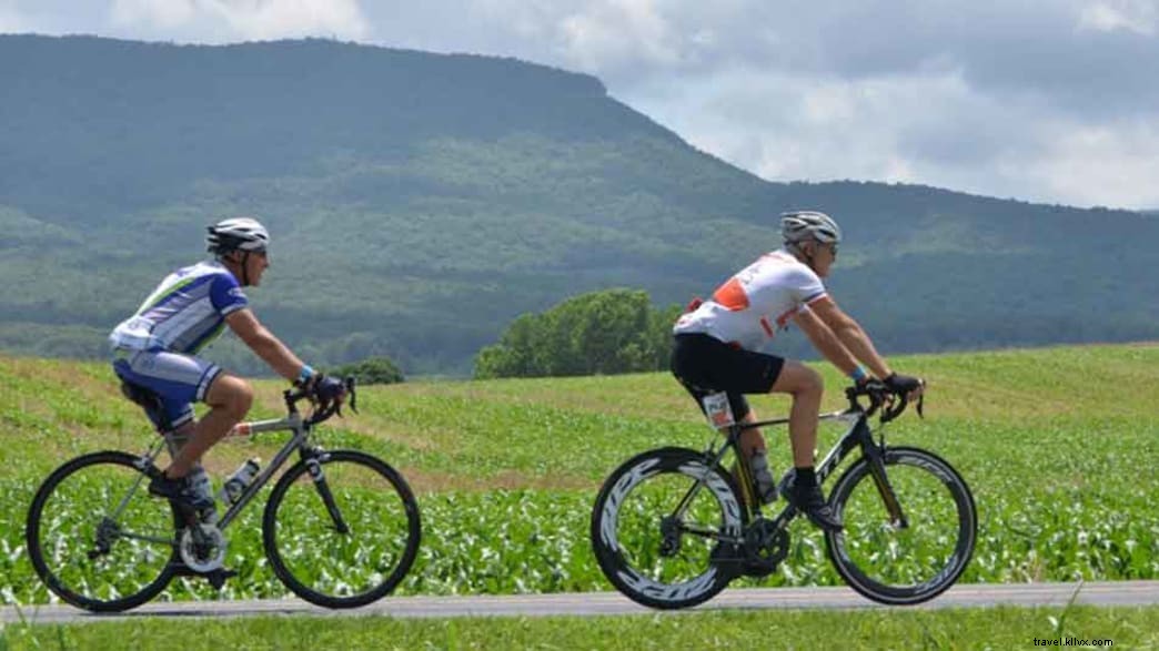 Ultimate Guide to Outdoor Recreation in Shenandoah County: Expert Insights on Hiking, Biking, and More