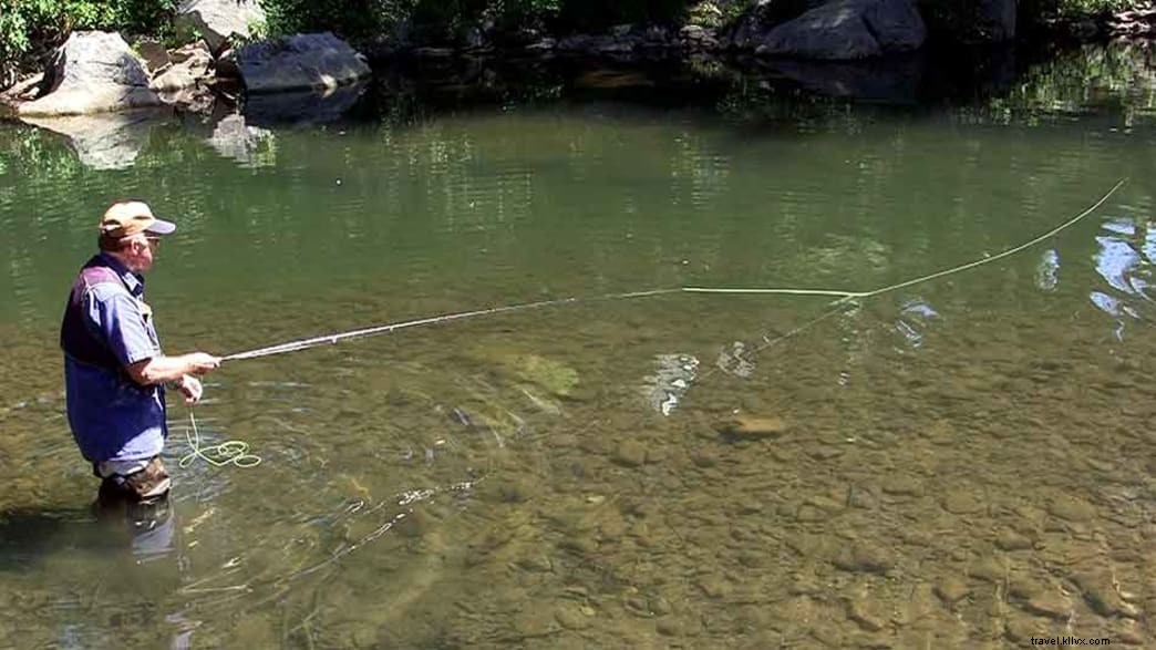 Ultimate Guide to Outdoor Recreation in Shenandoah County: Expert Insights on Hiking, Biking, and More