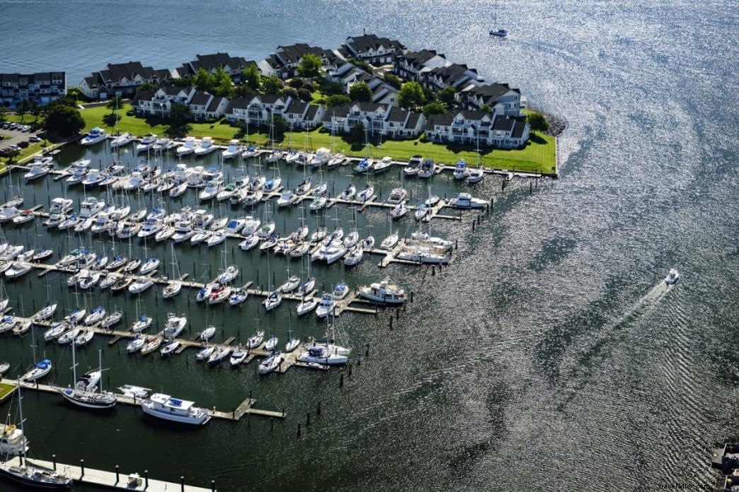 Top Outdoor Activities in Norfolk: Parks, Gardens, Festivals & Waterfront Adventures