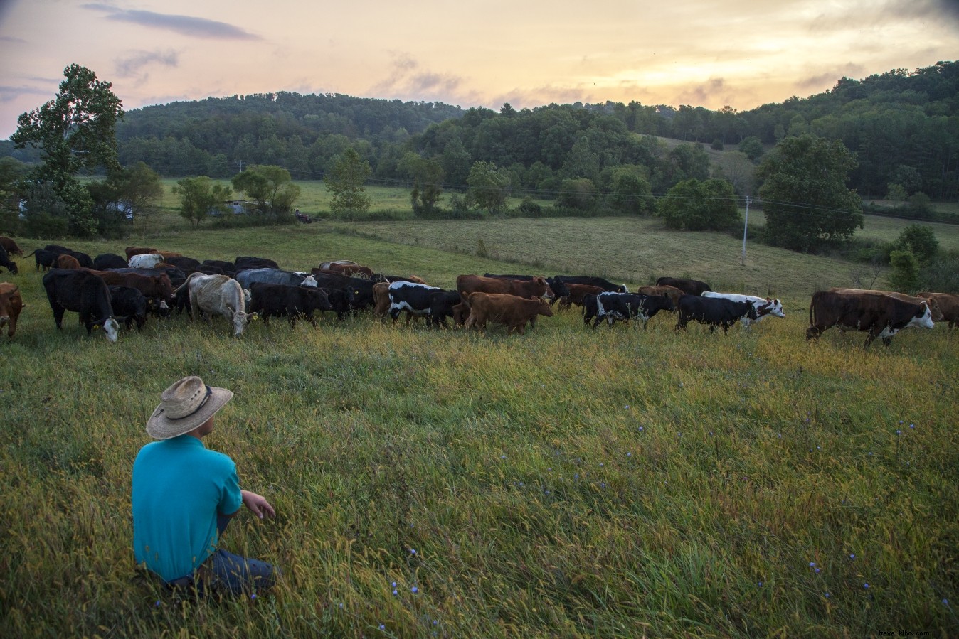 Ultimate Guide to Eco-Friendly Vacations: Sustainable Travel in Virginia