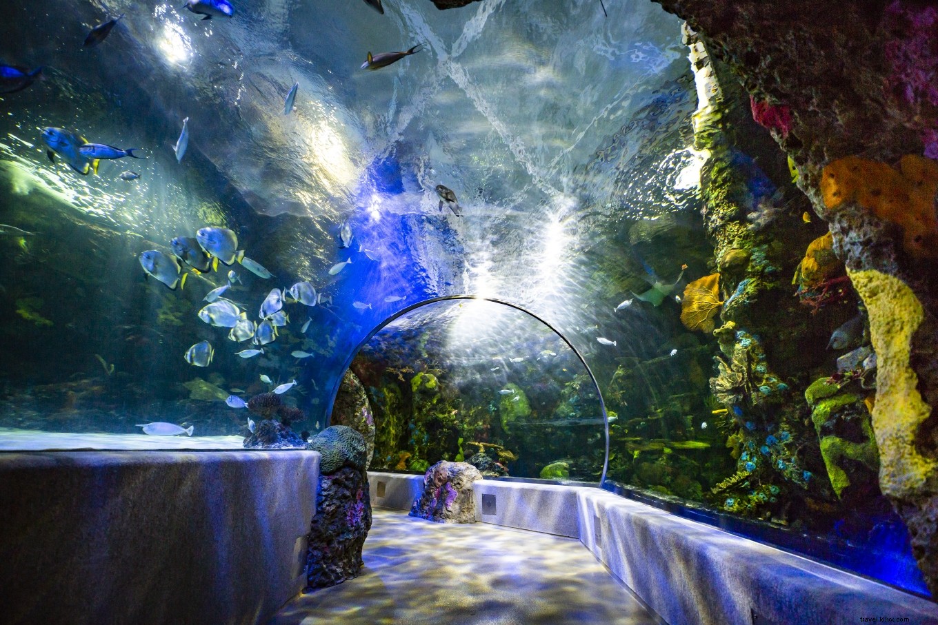 Ultimate Guide to Eco-Friendly Vacations: Sustainable Travel in Virginia