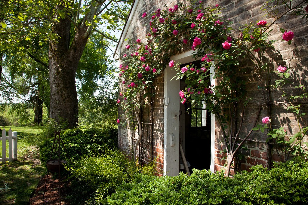 Top Virginia Spots to See and Pick Vibrant Spring Flowers in Bloom