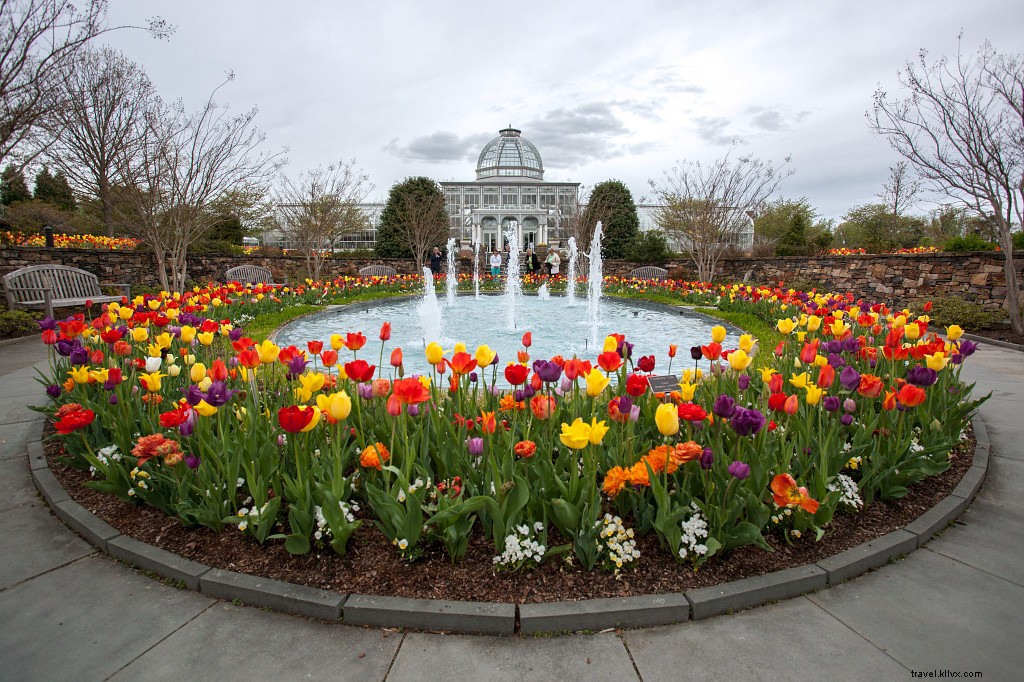Top Virginia Spots to See and Pick Vibrant Spring Flowers in Bloom