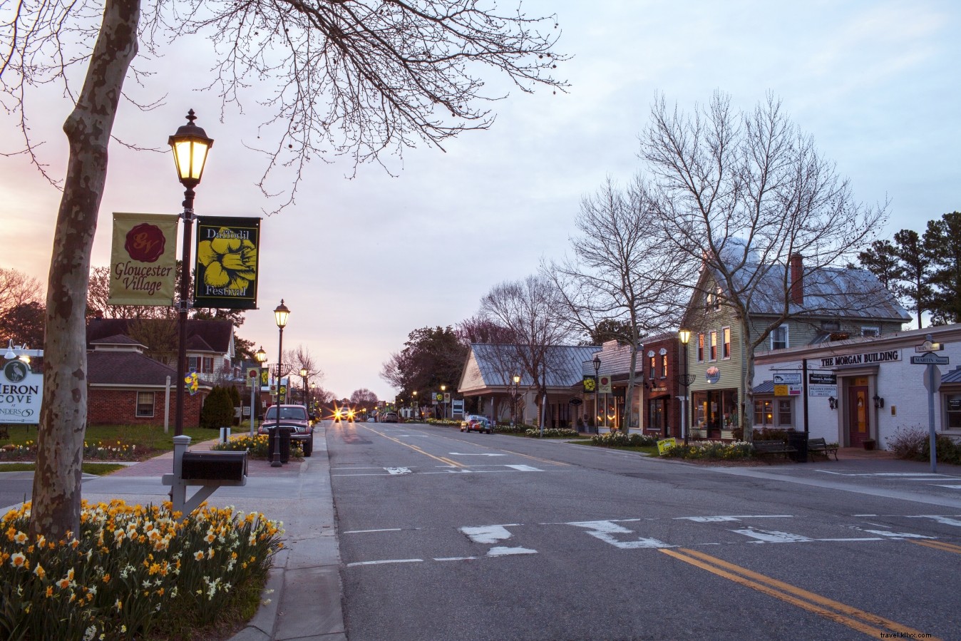 Top Virginia Spots to See and Pick Vibrant Spring Flowers in Bloom