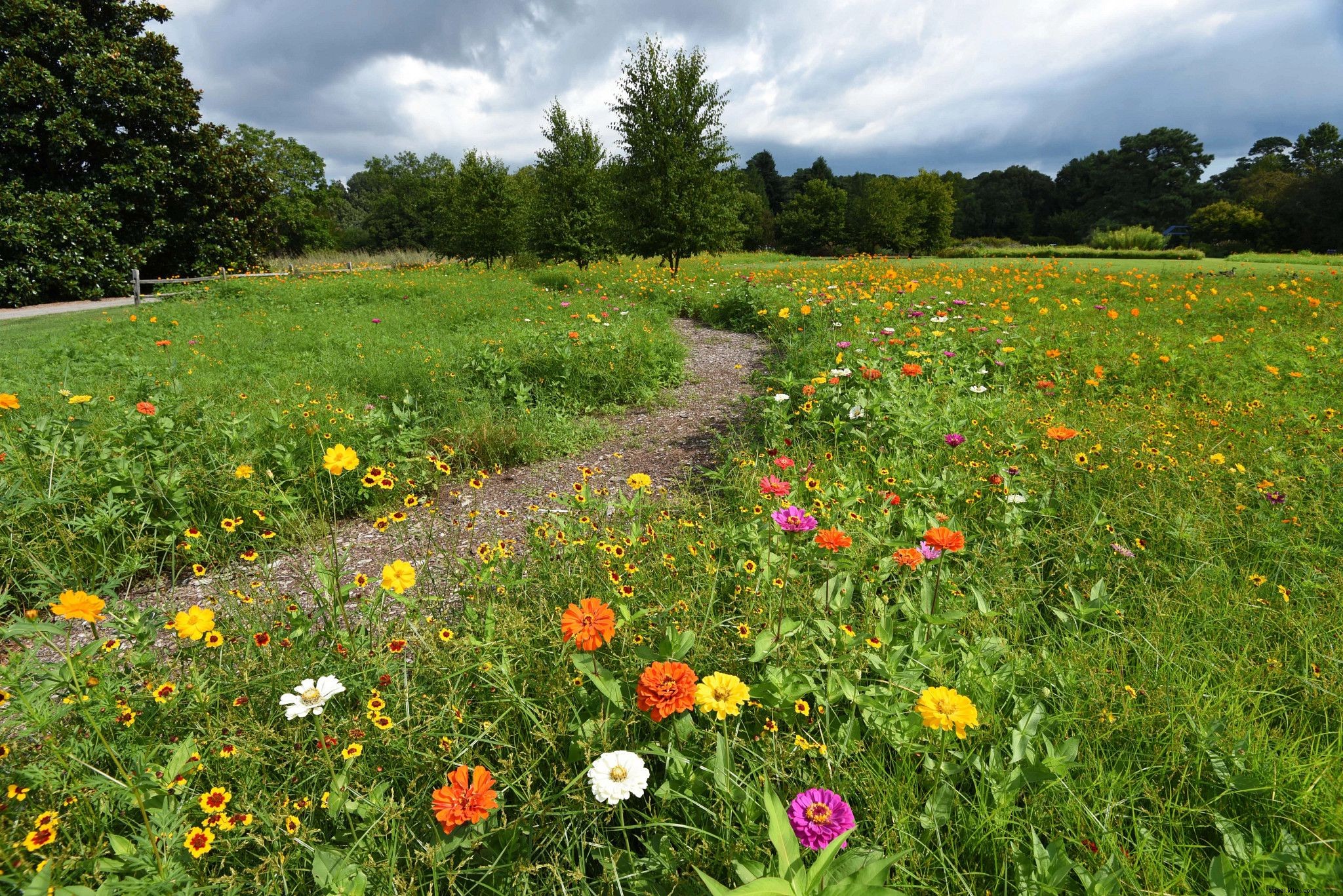 Top Virginia Spots to See and Pick Vibrant Spring Flowers in Bloom