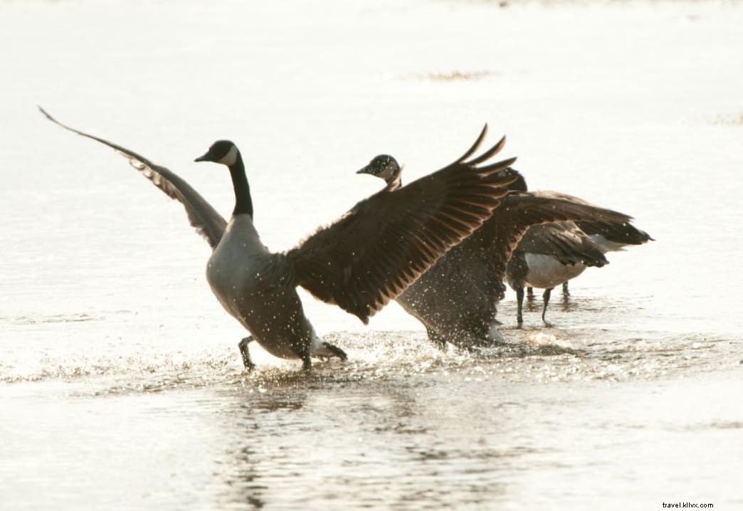 Ultimate 2-Day Itinerary: Historic Hikes and Outdoor Adventures in Prince William County