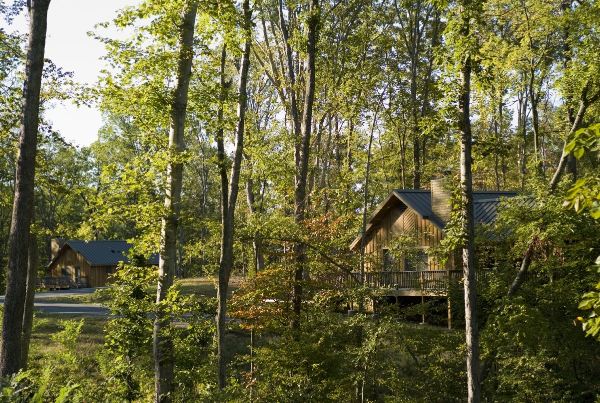 20+ Pet-Friendly Cabins for Your Next Virginia Getaway