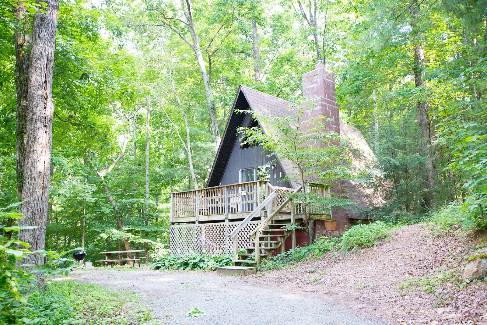 20+ Pet-Friendly Cabins for Your Next Virginia Getaway