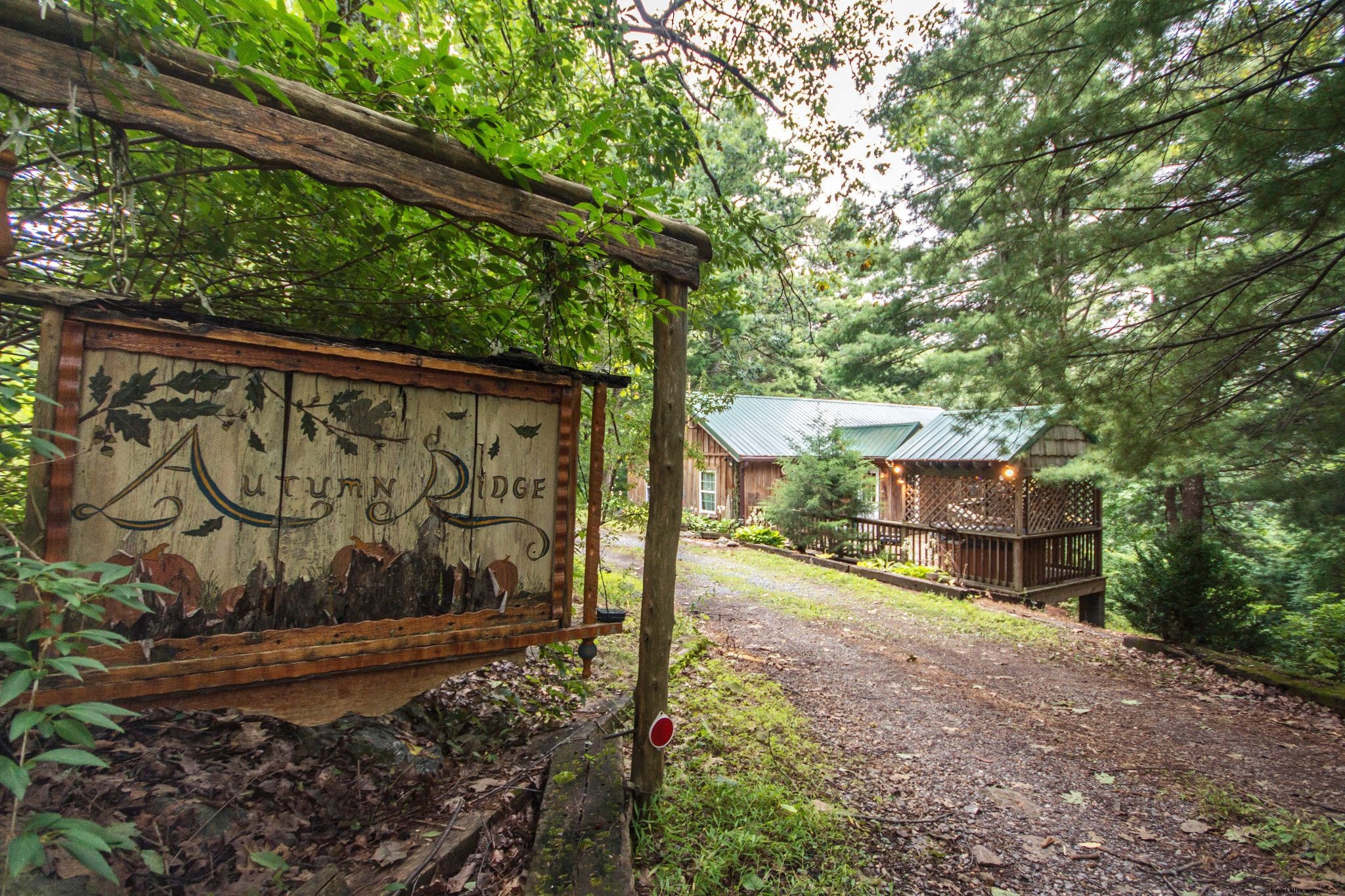 20+ Pet-Friendly Cabins for Your Next Virginia Getaway