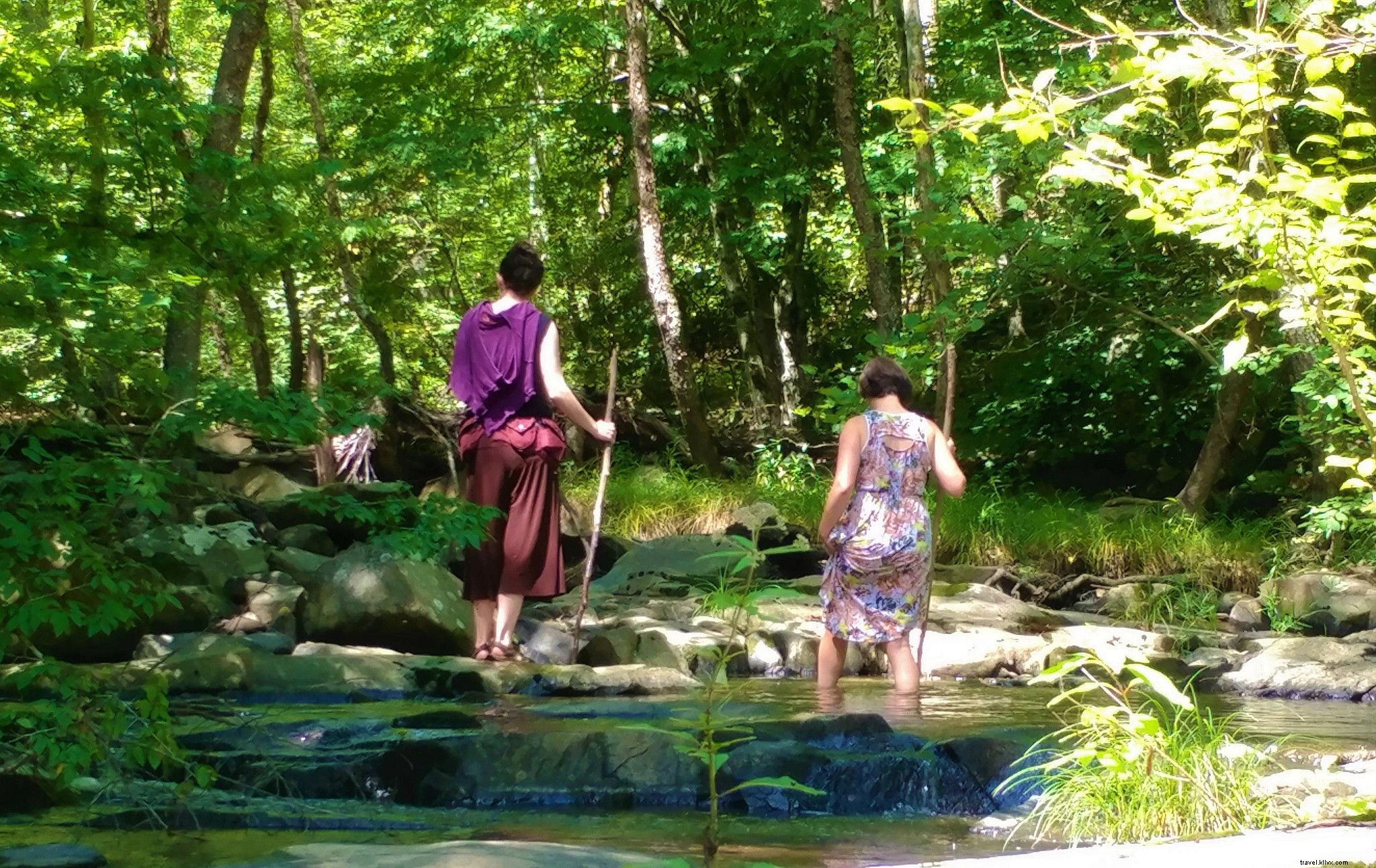 17 Top Wellness Retreats and Relaxing Getaways in Virginia