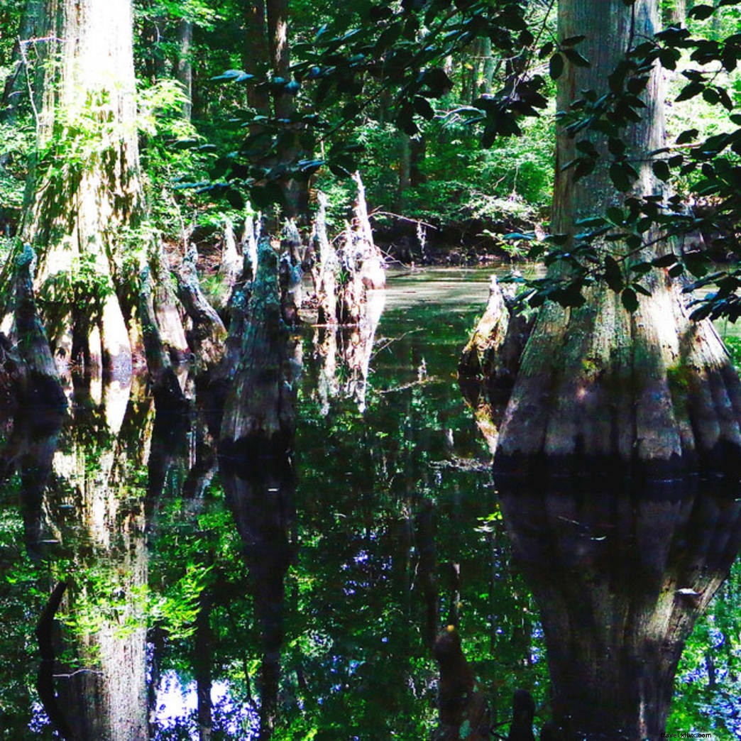 Discover 4 Unusual Hidden Gems in Virginia State Parks