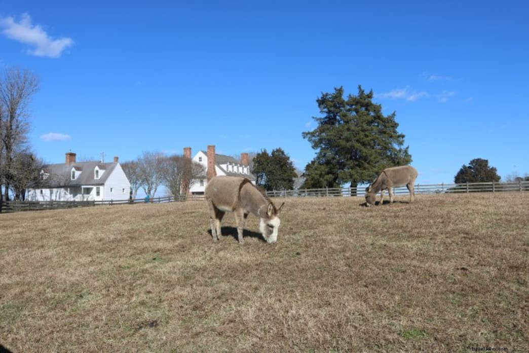 Top 10 Virginia State Parks According to TripAdvisor Visitor Reviews