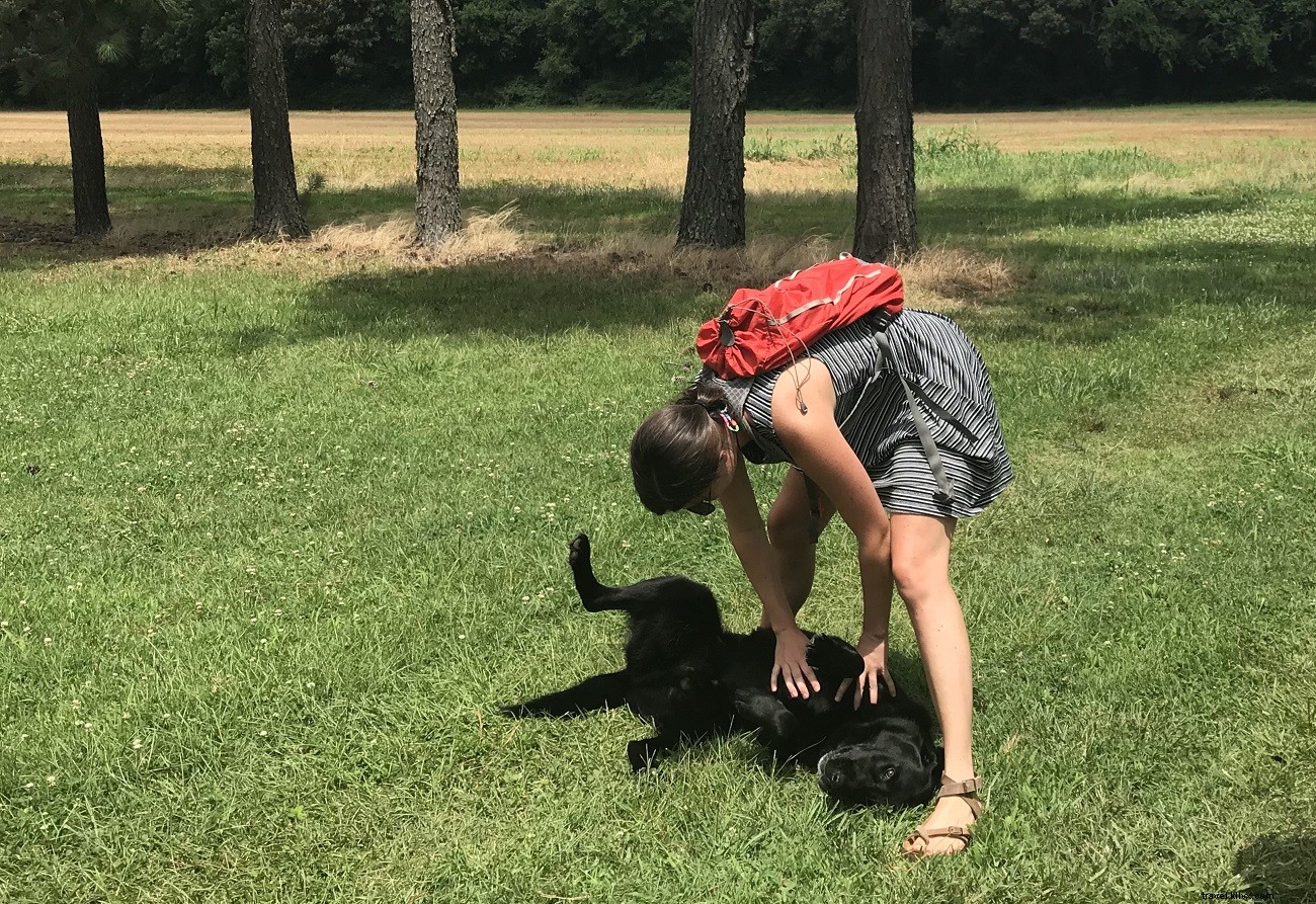 Ultimate Weekend Getaway: Virginia s Eastern Shore Itinerary with Kayaks, Wineries & Sunsets