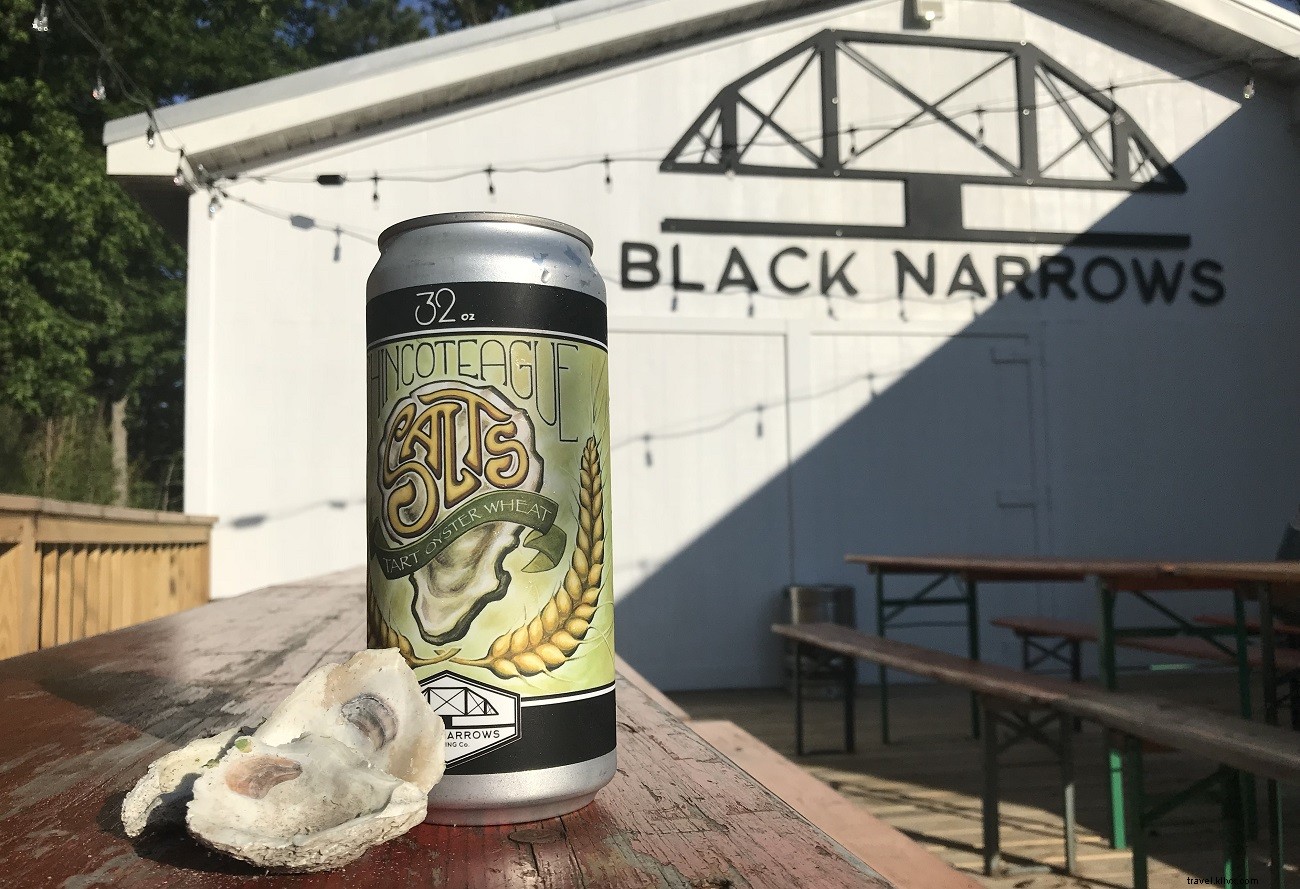 Ultimate Weekend Getaway: Virginia s Eastern Shore Itinerary with Kayaks, Wineries & Sunsets