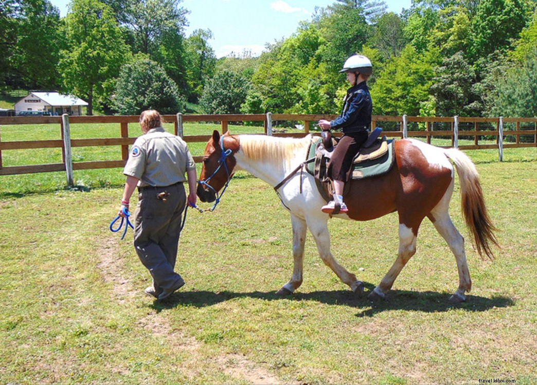 10 Exciting Summer Activities for Tweens (Ages 8-12) at Virginia State Parks