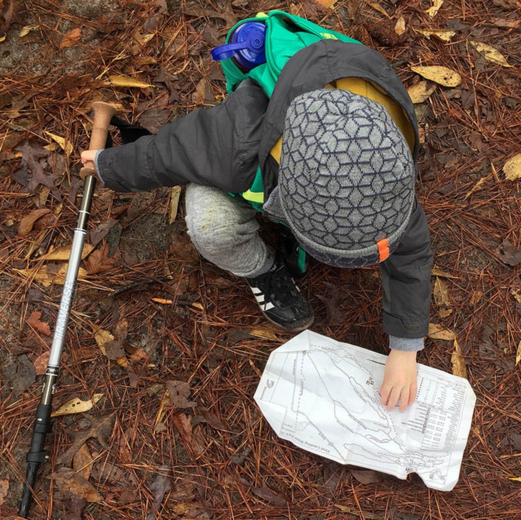 10 Exciting Summer Activities for Tweens (Ages 8-12) at Virginia State Parks