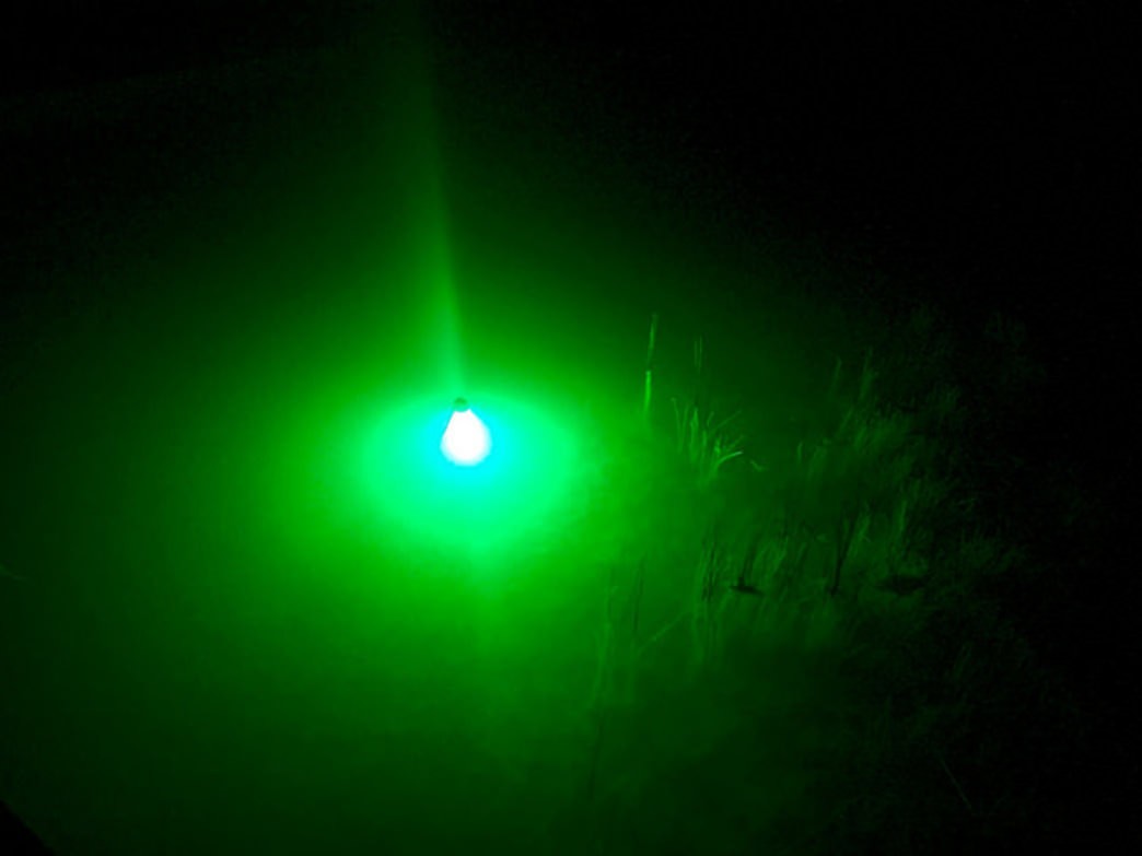 10 Engaging Summer Activities for Young Children (Ages 7 & Under) at Virginia State Parks