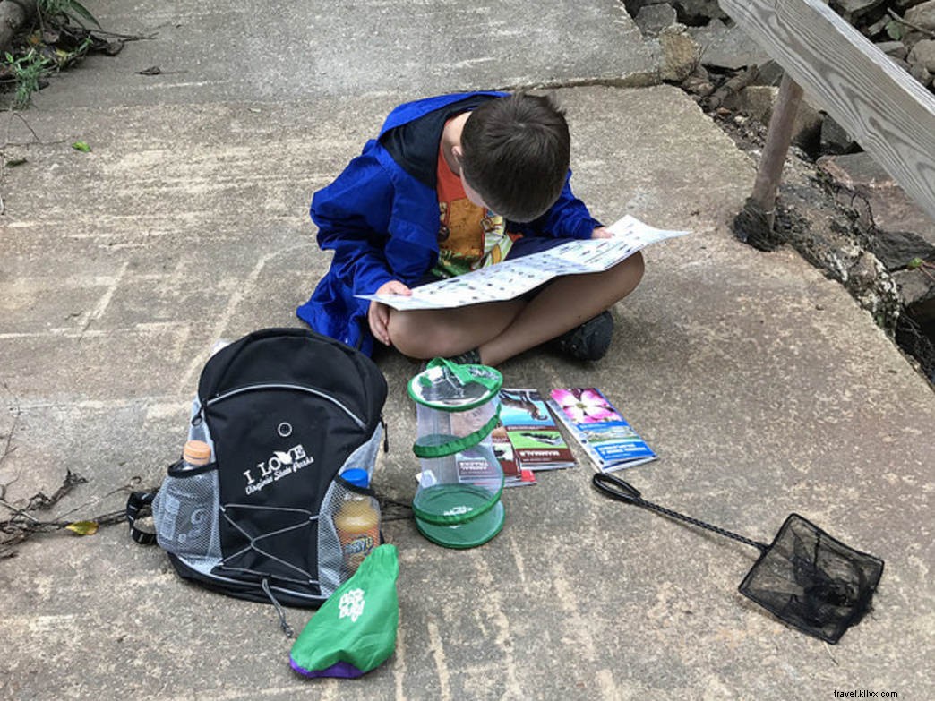 10 Engaging Summer Activities for Young Children (Ages 7 & Under) at Virginia State Parks