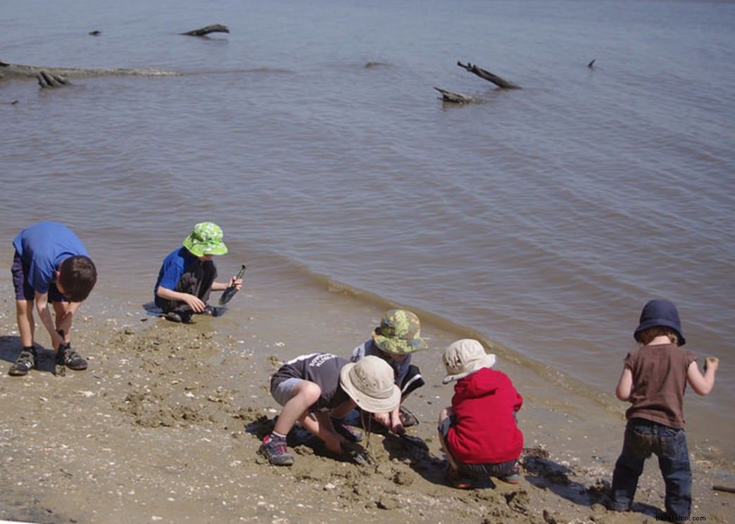 10 Engaging Summer Activities for Young Children (Ages 7 & Under) at Virginia State Parks