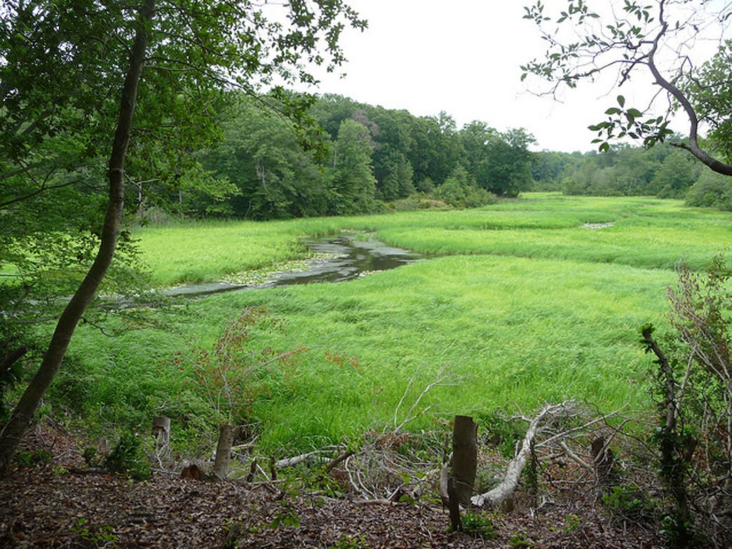 10 Engaging Summer Activities for Young Children (Ages 7 & Under) at Virginia State Parks
