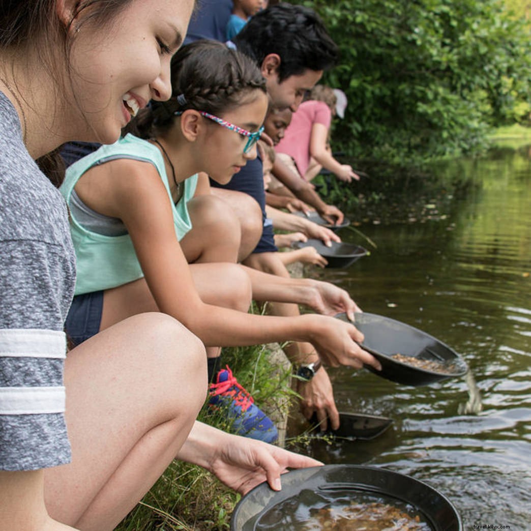 10 Engaging Summer Activities for Young Children (Ages 7 & Under) at Virginia State Parks
