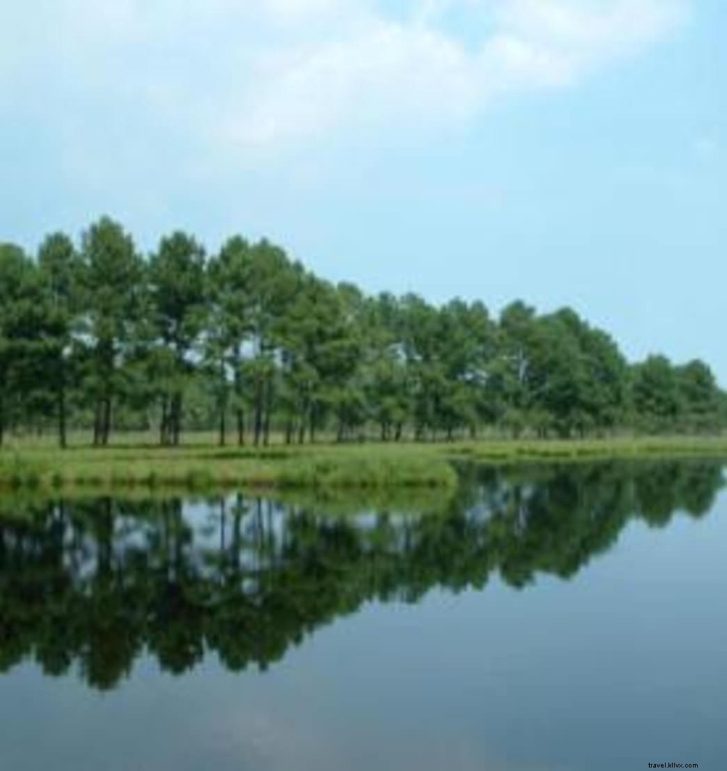 Glamping on Virginia s Eastern Shore: Luxe Yurts, Private Islands & Waterfront Escapes