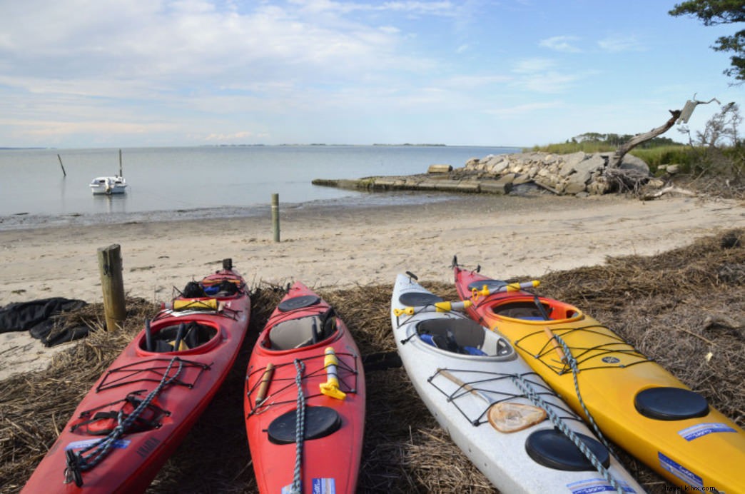 Discover Virginia s Wild Barrier Islands on the Eastern Shore