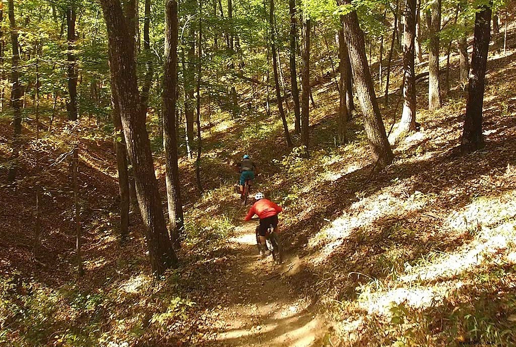 Top 4 Virginia State Parks for Epic Mountain Biking Trails