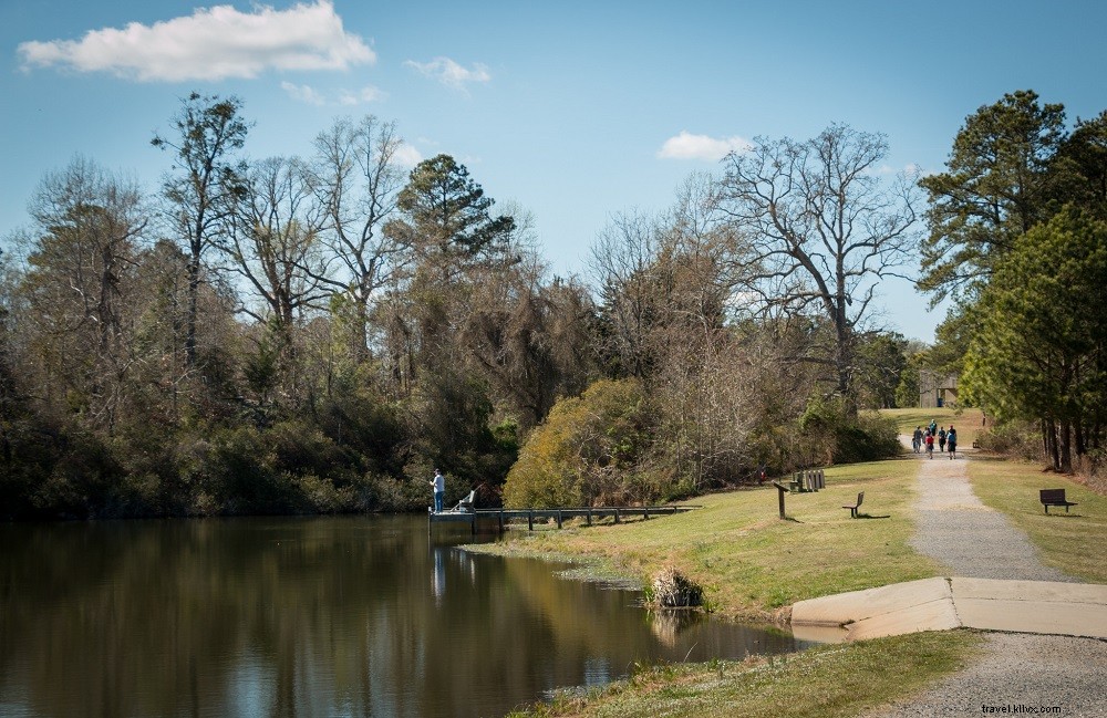 Top 4 Virginia State Parks for Epic Mountain Biking Trails