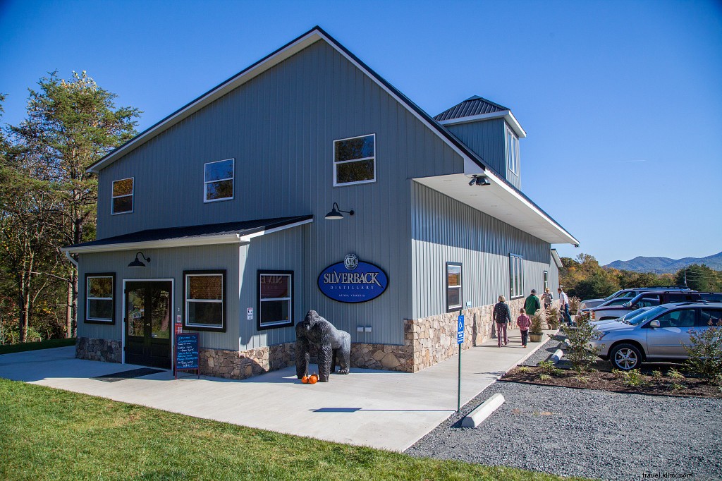 Ultimate 3-Day Nelson County Itinerary: Wineries, Breweries, Hiking & Blue Ridge Adventures