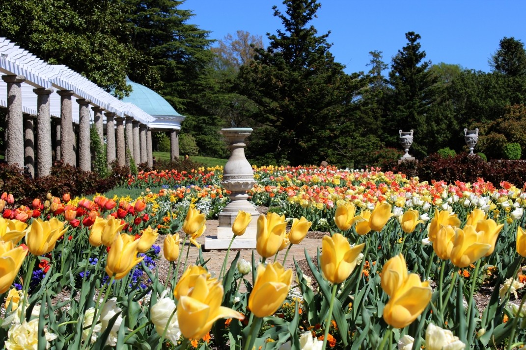 Discover 15+ Breathtaking Spring Destinations in Virginia