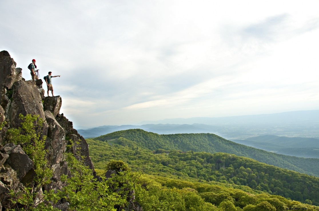 Discover 15+ Breathtaking Spring Destinations in Virginia
