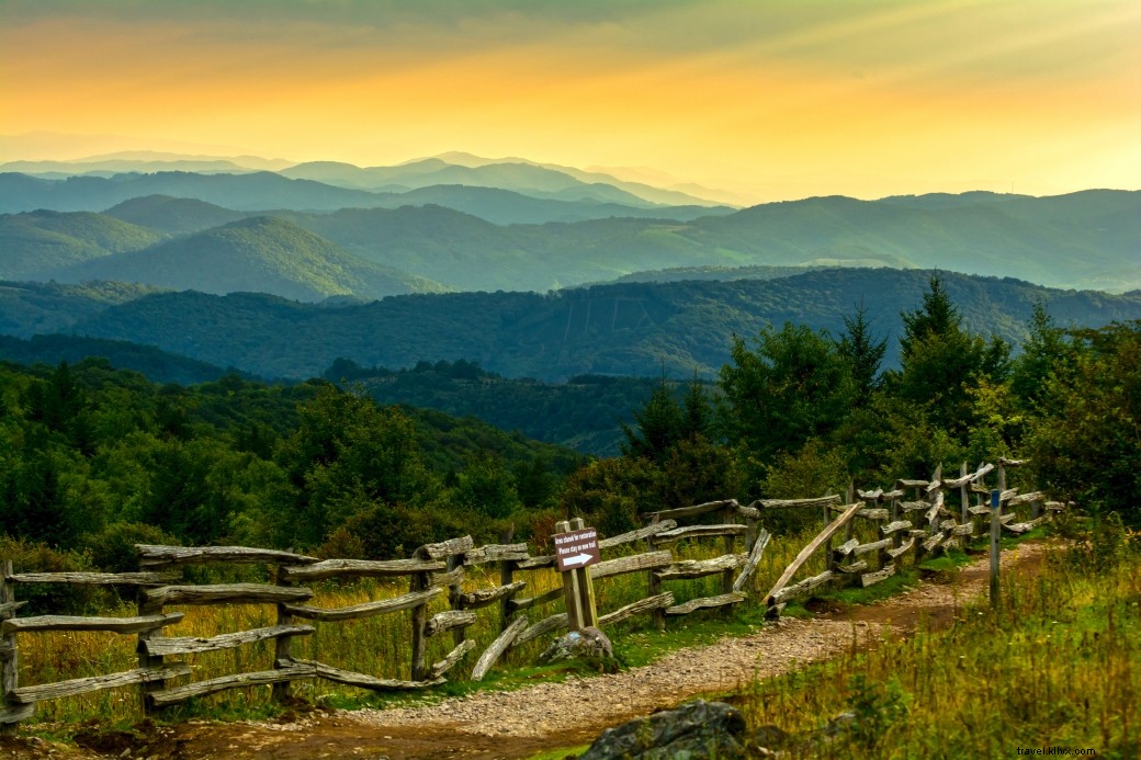 Discover 15+ Breathtaking Spring Destinations in Virginia