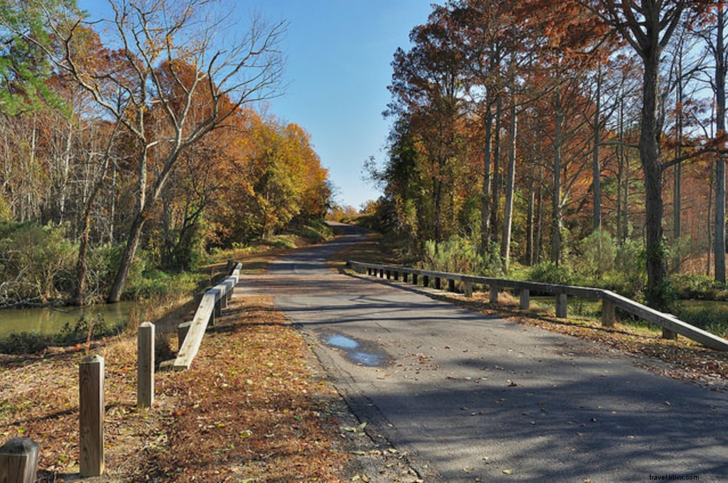 Explore Virginia’s 12 Most Scenic State Park Drives