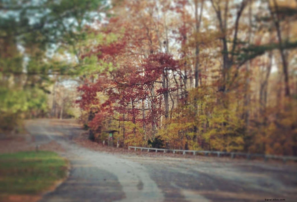 Explore Virginia’s 12 Most Scenic State Park Drives