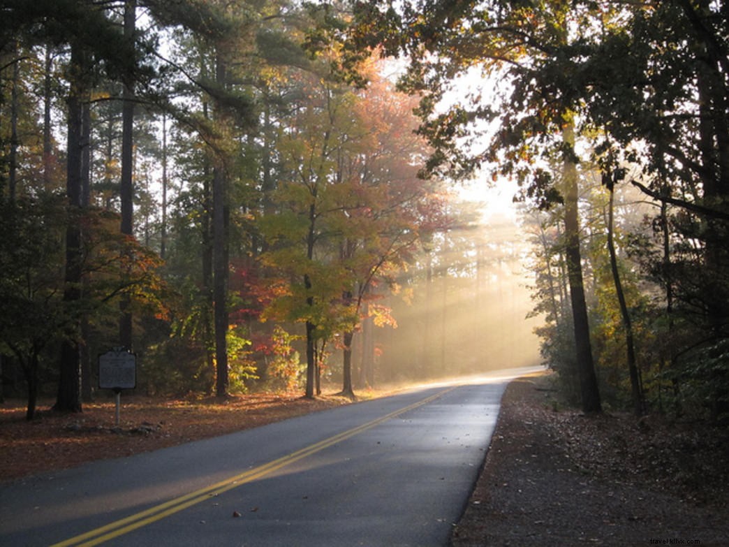 Explore Virginia’s 12 Most Scenic State Park Drives
