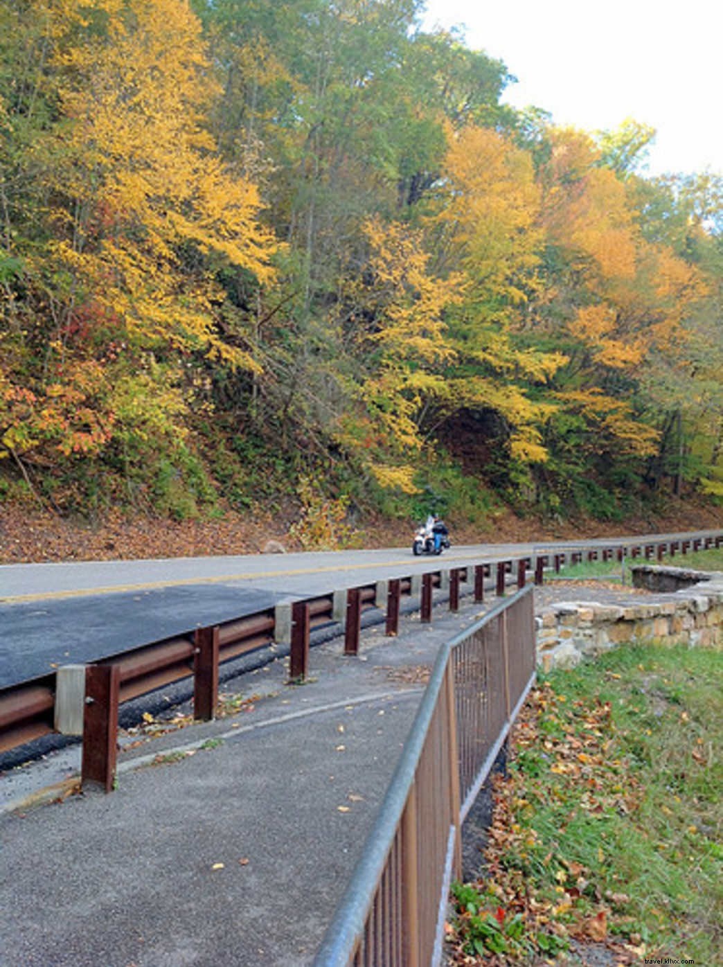 Falling Spring Falls: Virginia s Tallest Waterfall and Top Scenic Attraction