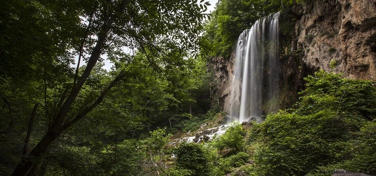 Top Spring and Summer Running Events in Virginia