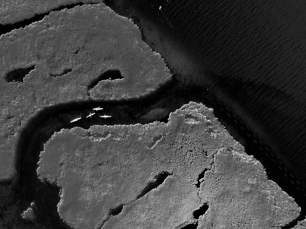 Four Unforgettable Virginia Adventures: Beaches, History, Mountains, and Trails