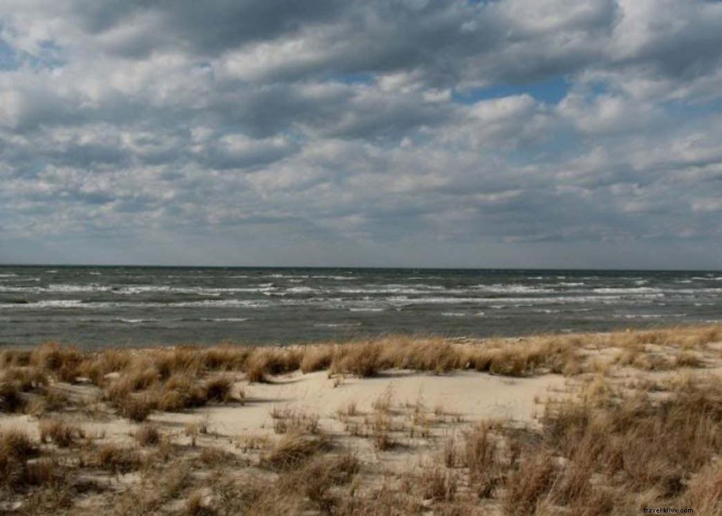 Budget-Friendly Guide to Virginia s Eastern Shore: Free Beaches, Trails, and Adventures