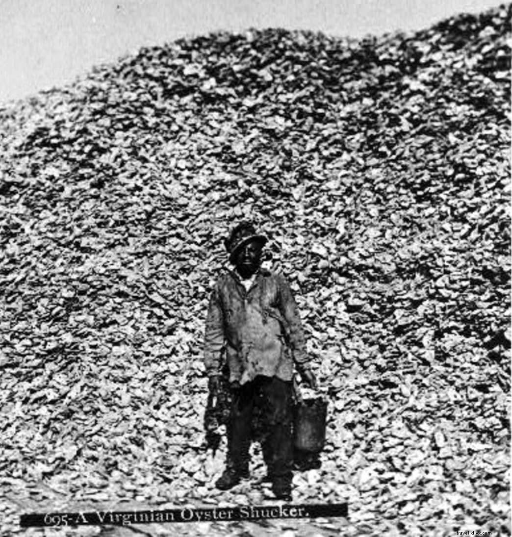 Budget-Friendly Guide to Virginia s Eastern Shore: Free Beaches, Trails, and Adventures