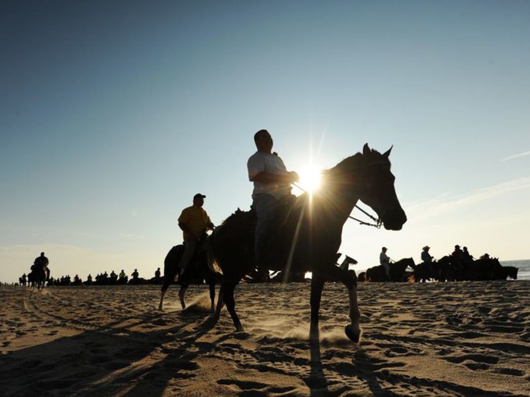 Budget-Friendly Guide to Virginia s Eastern Shore: Free Beaches, Trails, and Adventures