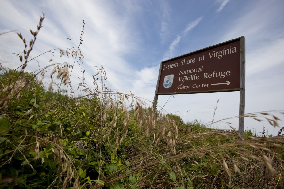 10 Easy Beginner Hiking Trails in Virginia for Families with Kids