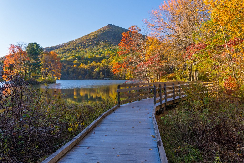 10 Easy Beginner Hiking Trails in Virginia for Families with Kids