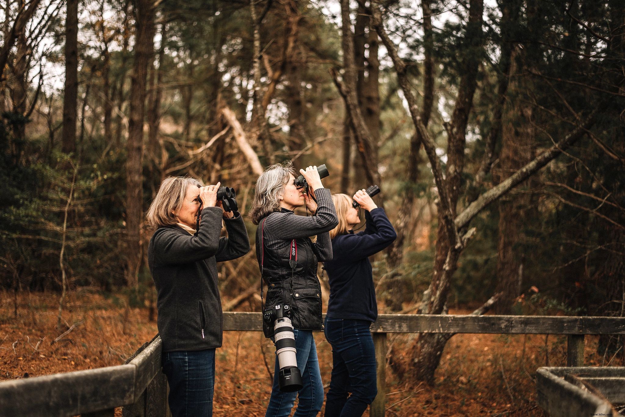 Hidden Fall Gems in Virginia: Off-the-Beaten-Path Adventures Amid Autumn Foliage