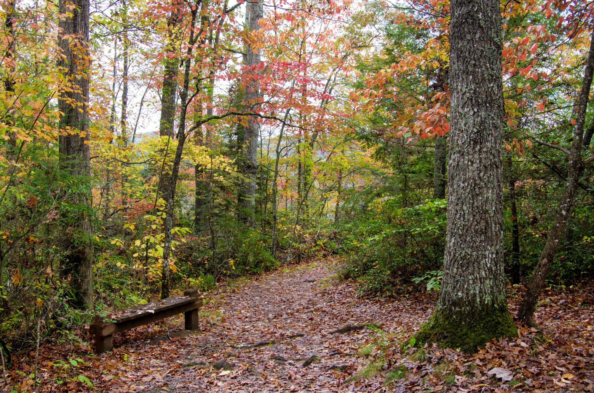Hidden Fall Gems in Virginia: Off-the-Beaten-Path Adventures Amid Autumn Foliage