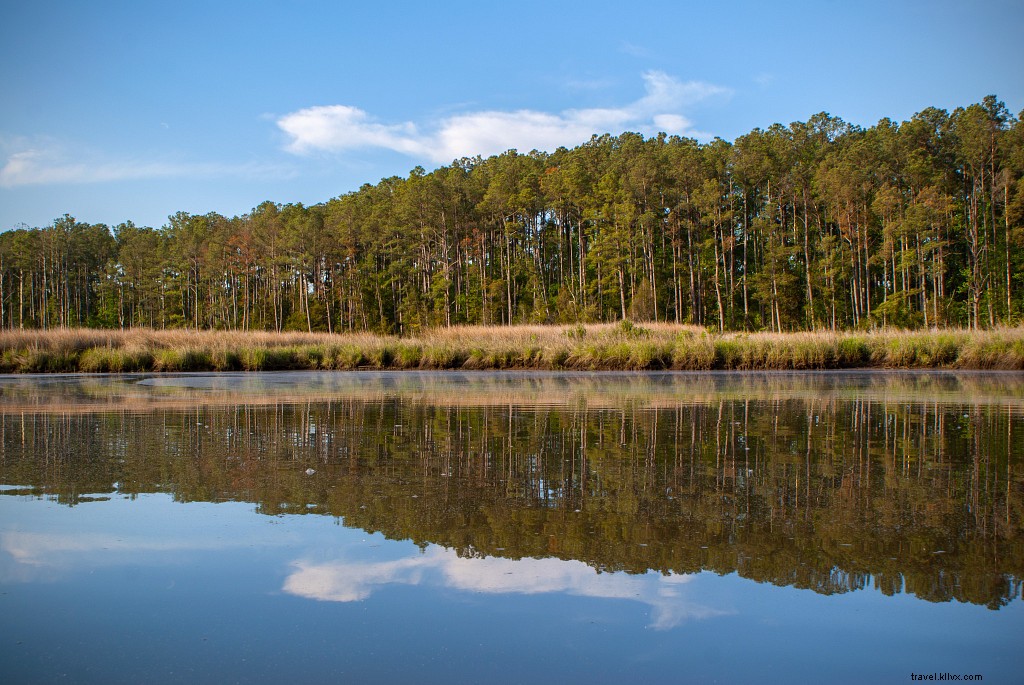 Hidden Fall Gems in Virginia: Off-the-Beaten-Path Adventures Amid Autumn Foliage