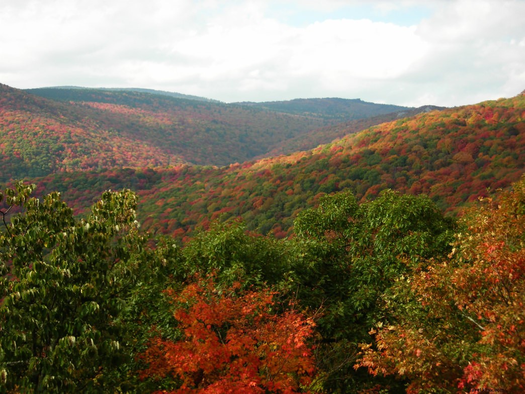 Top 10 Best Places for Fall Foliage in Virginia: Stunning Leaf-Peeping Spots