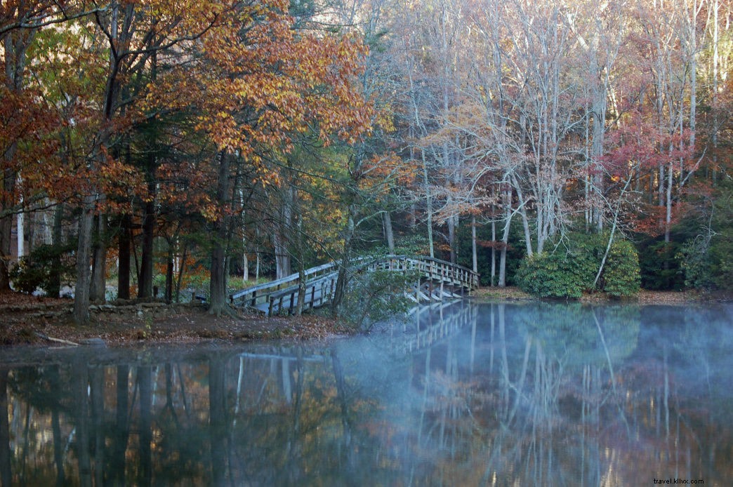 Top 10 Best Places for Fall Foliage in Virginia: Stunning Leaf-Peeping Spots