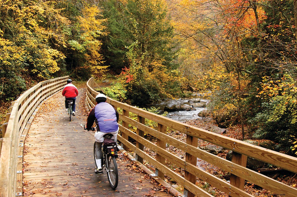 Top 10 Best Places for Fall Foliage in Virginia: Stunning Leaf-Peeping Spots